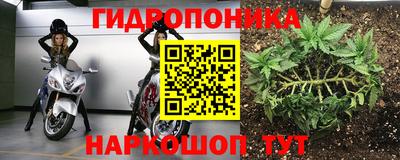 тгк Пушкино