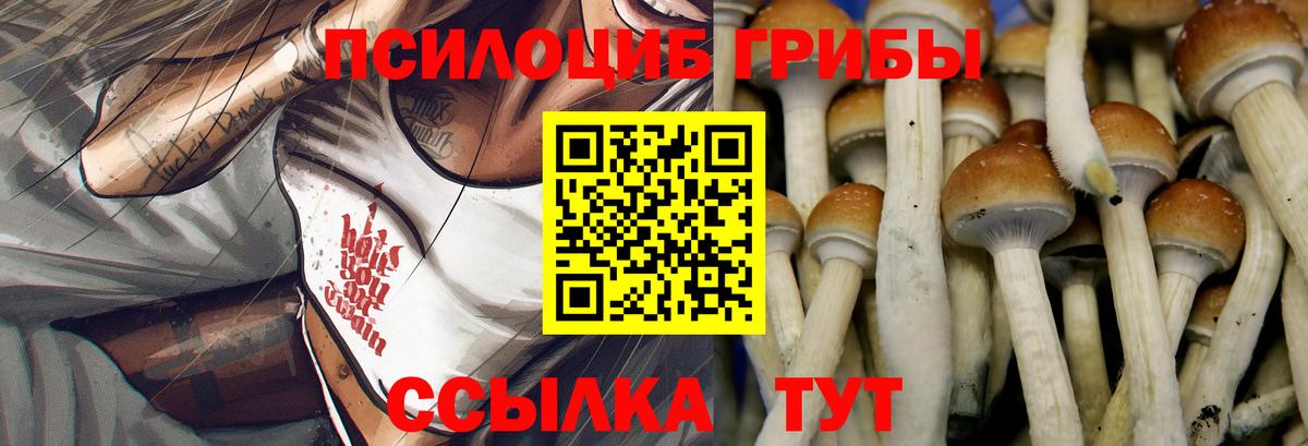 Тимашёвск  Псилоцибиновые грибы ЛСД  Вход с VPN 