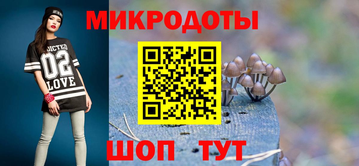 Галлюциногенные грибы Psilocybine cubensis Тимашёвск